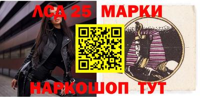 шишки Абакан