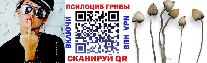 OMG зеркало  Апатиты  Псилоцибиновые грибы ЛСД 