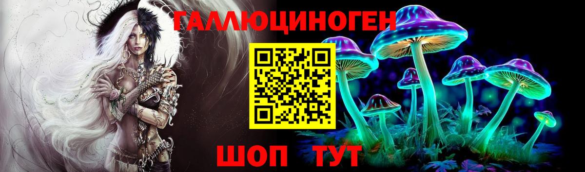 Галлюциногенные грибы GOLDEN TEACHER Апатиты